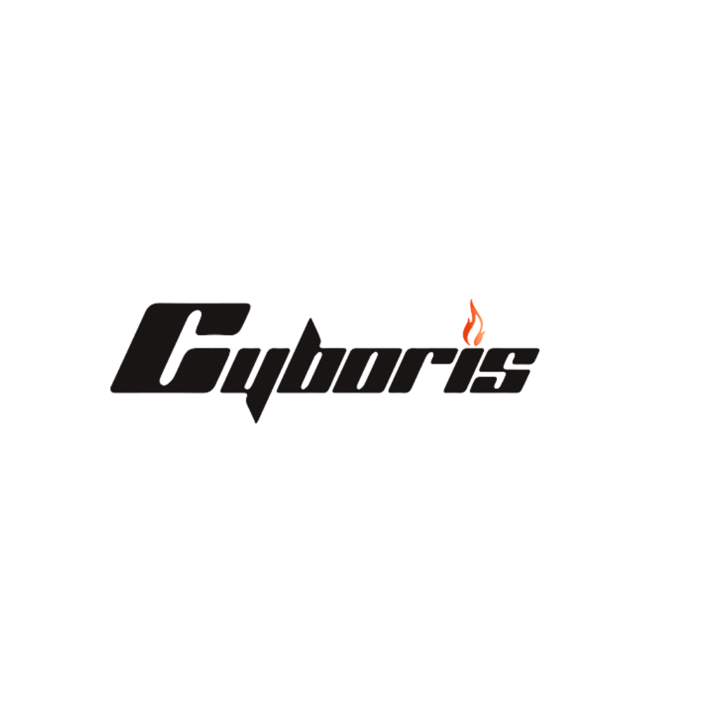 cyboris.com.vn